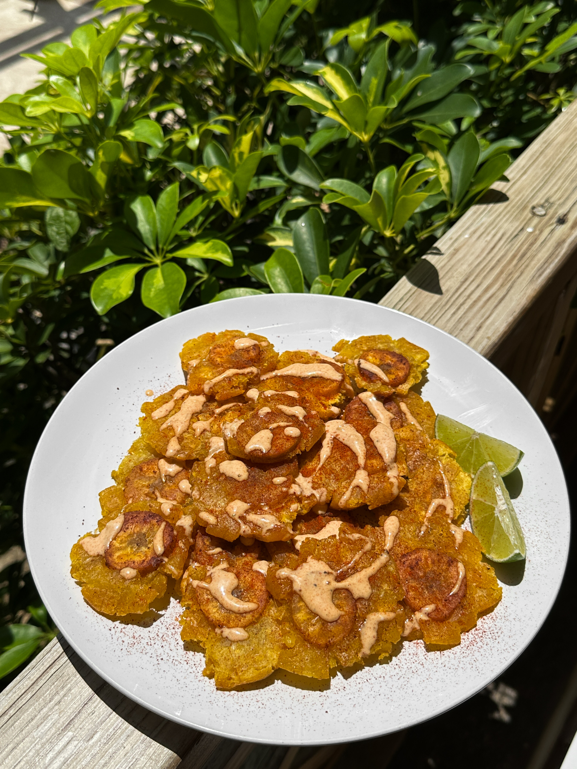 Baked Tostones (Fried Plantains)
