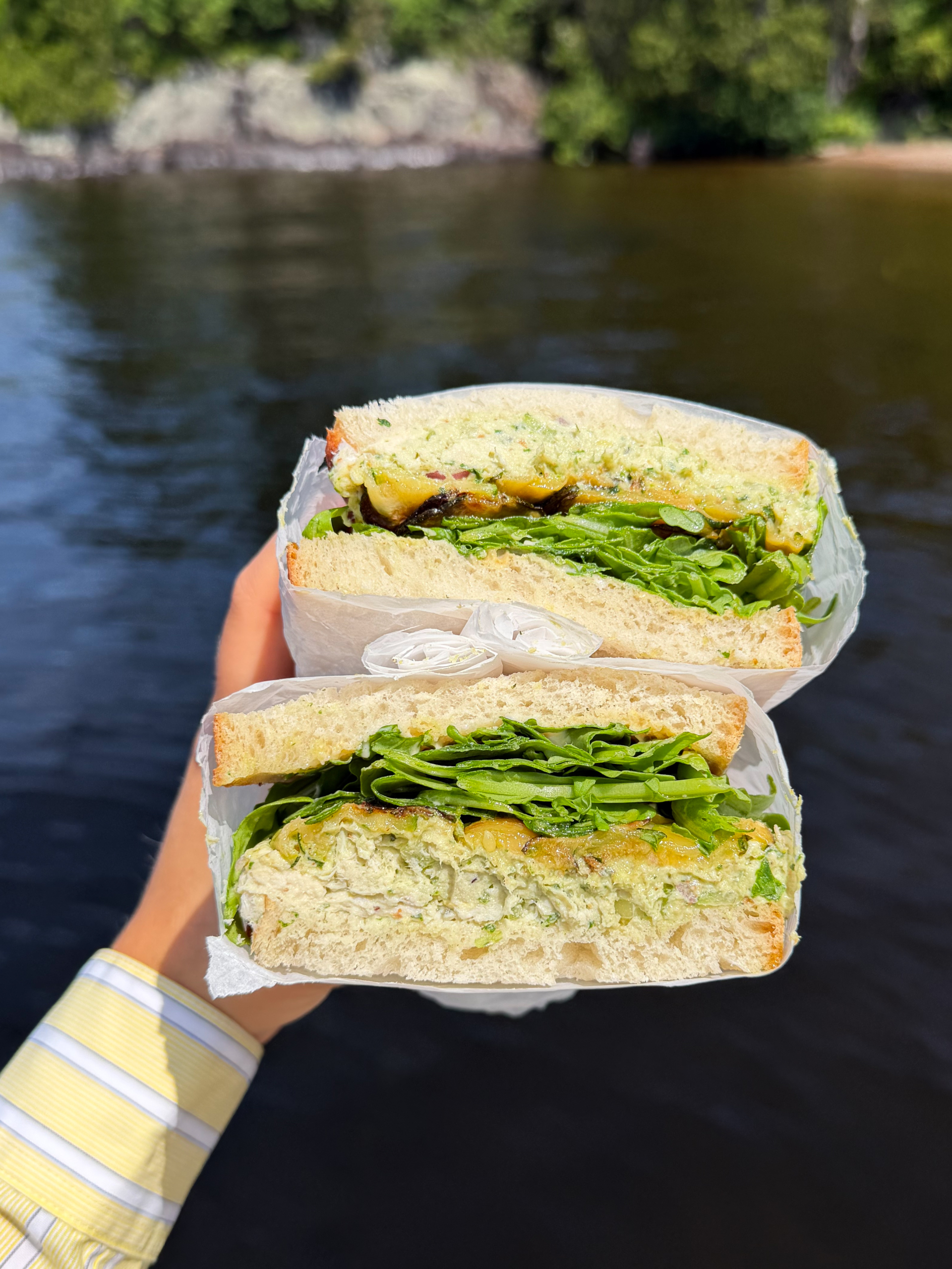 Chicken Salad, Pesto, and Grilled Zucchini Sandwich